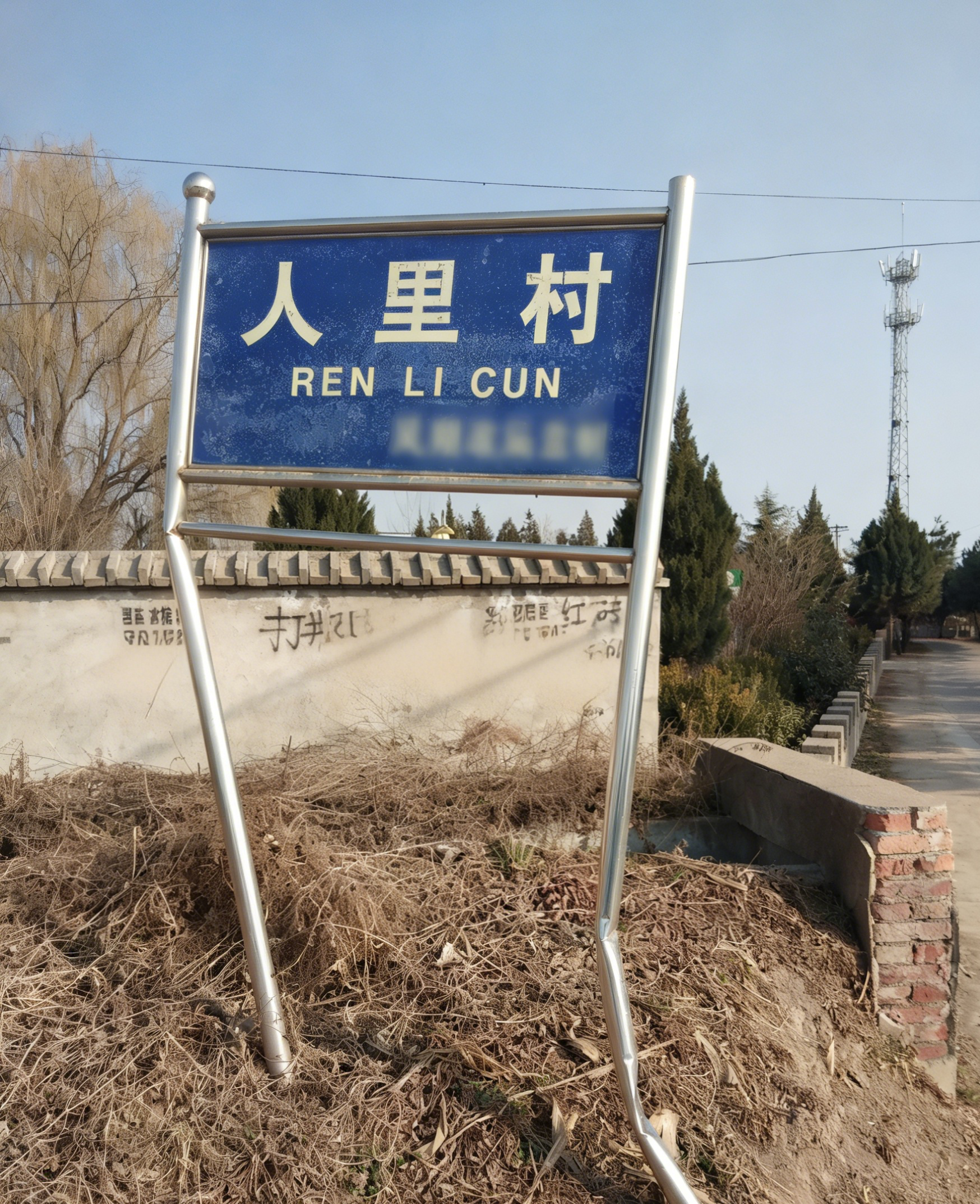 Cover of 人里村志